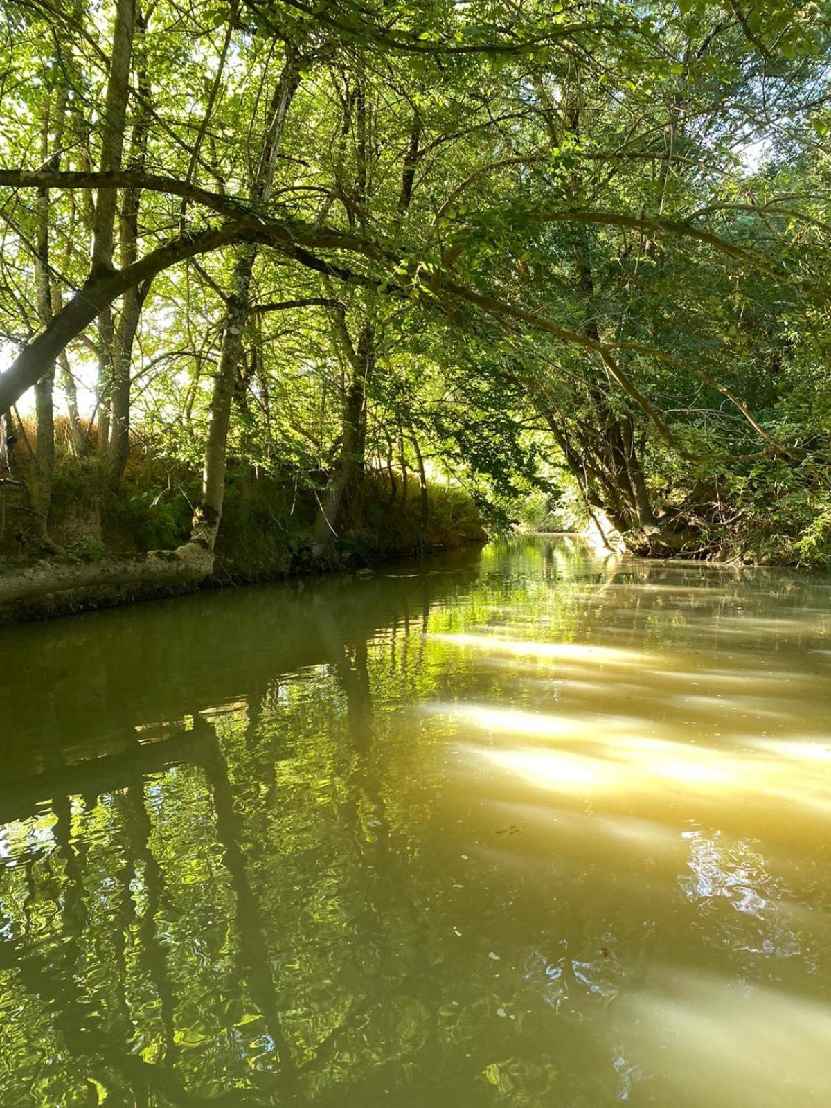 Gite Le Moulin Samsara Homps  Esterno foto